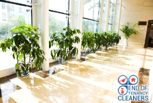 Clean Office Building