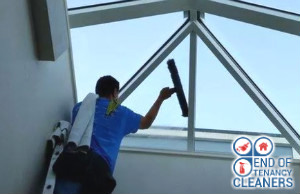 Window Cleaning
